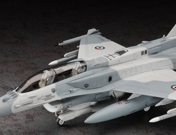 Hasegawa 1:48 scale General Dynamics F-16F Fighting Falcon 'Block 60'