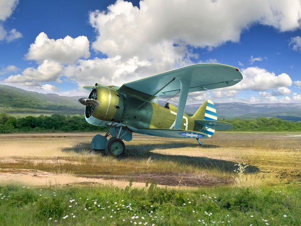 ICM 1/48 scale WW2 I-153, WWII China Guomindang AF Fighter