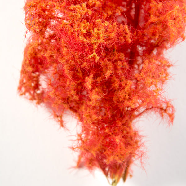 AK Interactive RED-ORANGE FANTASY BUSHES