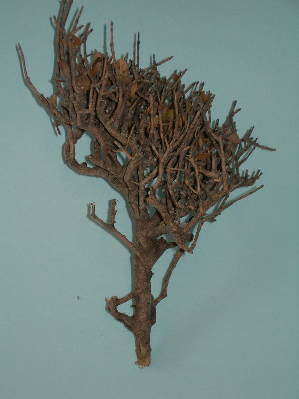 FoG Models 1/35 scale Dead tree (one tree per kit )