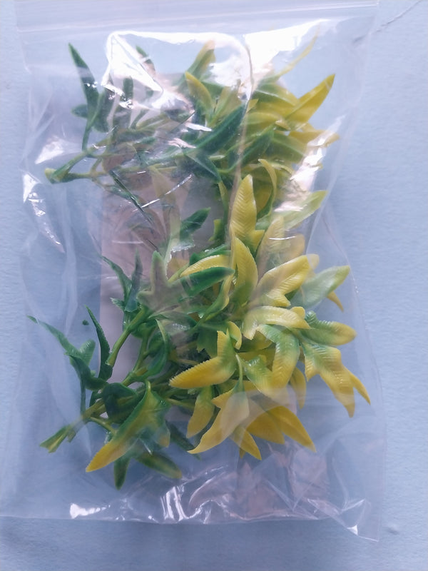Jungle Plant #5