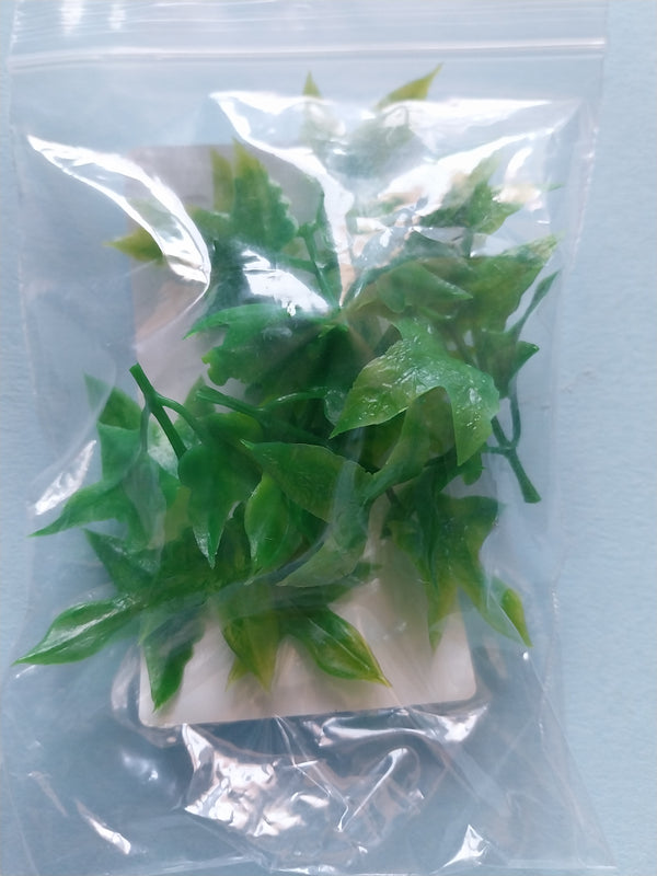 Jungle Plant #9