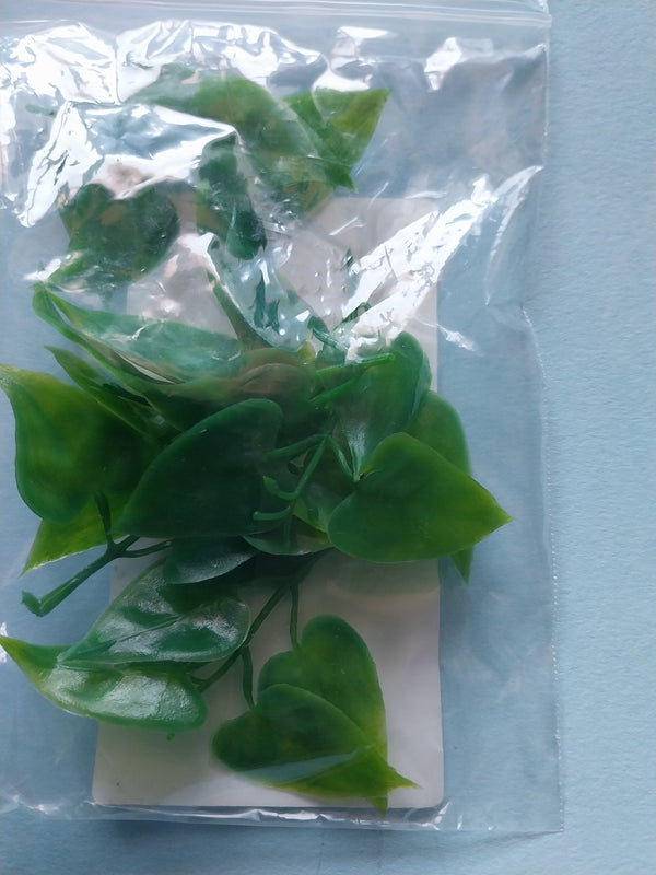 Jungle Plant #10