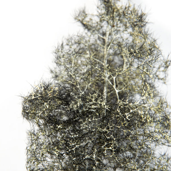 AK Interactive BLACK-WHITE FANTASY BUSHES