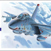 Hasegawa 1:72 F-14A Tomcat High Visibility