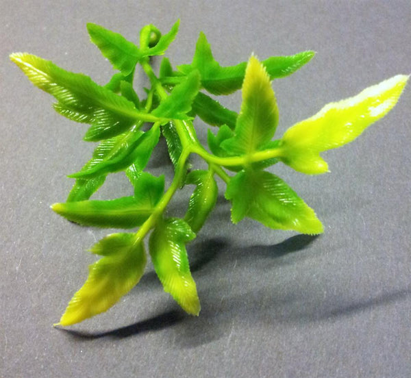 Jungle Plant #5