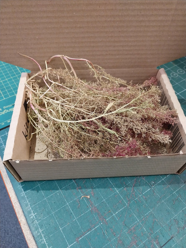 FoG Models 1/35 Scale Dried flowers for hedges - trees - flowers Sea Foam tree