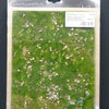 Model Scene - GRASS MATS WITH CALC-STONE (18x28cm) Early summer, little calc stones