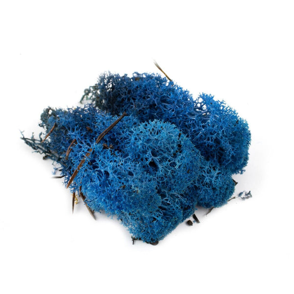 Lichen Moss Model Foliage Railway Wargame Scenery Trees Bushes Diorama Basing