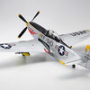 Tamiya 1/32 scale NORTH AMERICAN F-51D MUSTANG KOREAN WAR