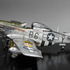 Border Models 1/35 scale WW2 USAAF North American P-51D Mustang