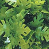 FoG Models Plastic Jungle Plant #3 Pack contains 4 stems