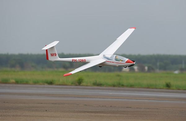 Phoenix ASK-21 3200mm ARTF RC plane model