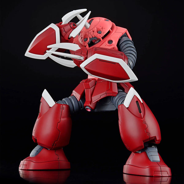 BANDAI HOBBY HG 1/144 Z'Gok (Seed Freedom Version)