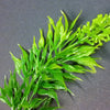 FoG Models Plastic Jungle Plant #4 Pack contains 6 stems