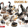 Miniart 1/35 scale DUCKS & GEESE farm animal diorama accessory