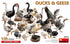 Miniart 1/35 scale DUCKS & GEESE farm animal diorama accessory