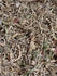 FoG Models 1/35 Scale forest floor scatter, woodland tree debris scenic pack