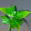 Jungle Plant #10
