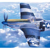 Hasegawa 1:72 WW2 USAAF P-51D Mustang ETO