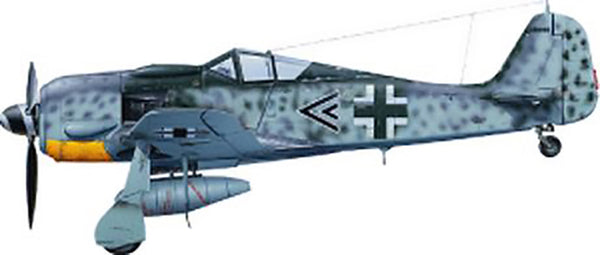 TAMIYA 1/48 AIRCRAFT FOCKE-WULF FW190 A-8/A R2