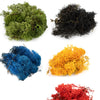 Lichen Diorama pack – 5 colours #2