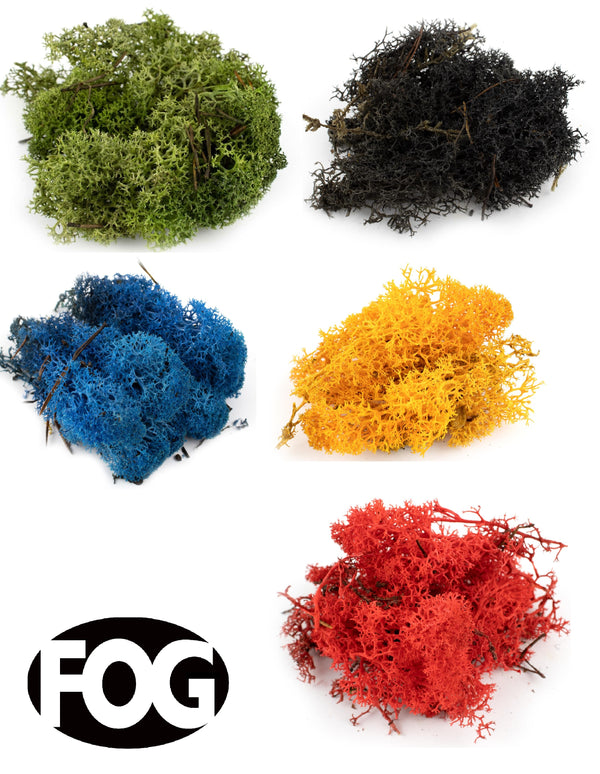 Lichen Diorama pack – 5 colours #2