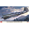 Hasegawa 1:48 P-40N Warhawk 'Natural Metal Aces'