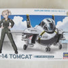 Hasegawa F-14 Tomcat Egg Plane