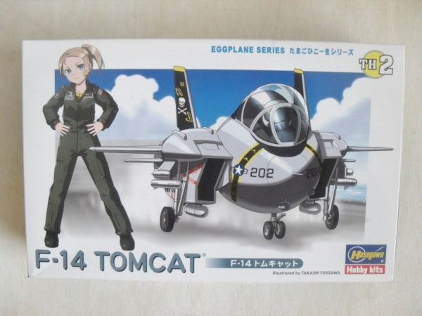 Hasegawa F-14 Tomcat Egg Plane