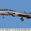 Hasegawa 1:72 F-14D Tomcat VF-101 Grim Reapers 2002 Kit