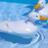 TAMIYA  Walking & Swimming Duck Creative assembly kit