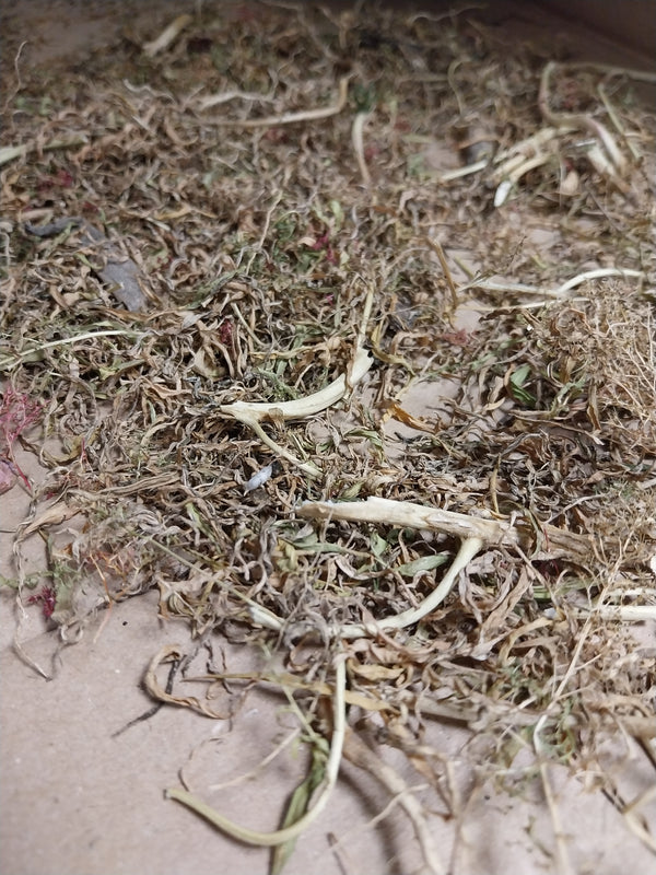 FoG Models 1/35 Scale forest floor scatter, woodland tree debris scenic pack