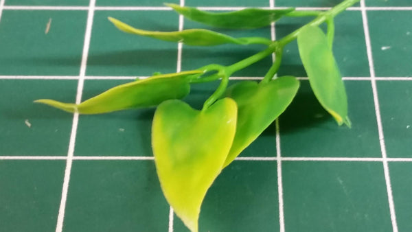 Jungle Plant #10