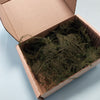 FoG Models Large box Preserved and coloured micro fern nano fern Ideal for Fir trees 1/35 1/48 ect