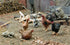 MK35 FoG models 1/35 Scale Farm animals Cock Hens Rabbits resin model kit
