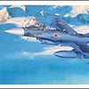 Hasegawa 1:48 Mitsubishi F-2A