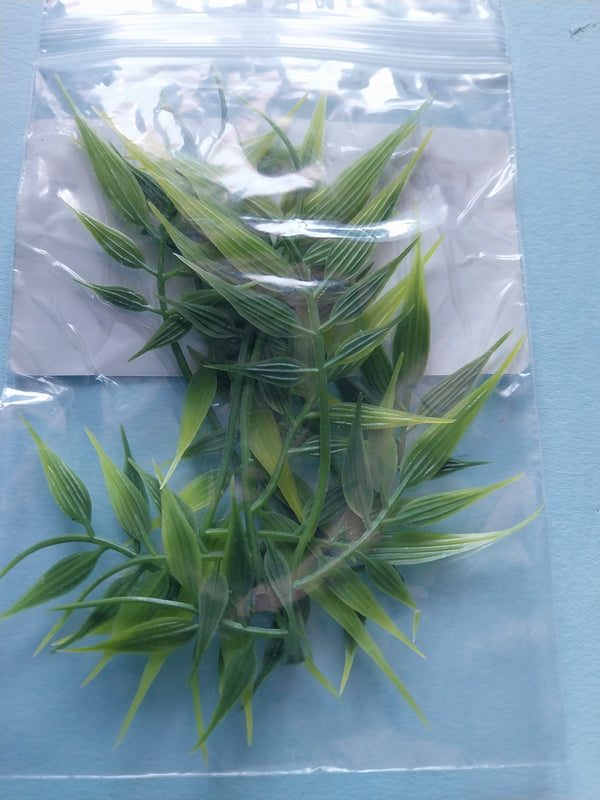 Jungle Plant #6