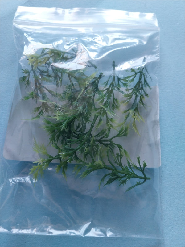 Jungle Plant #7