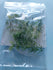 files/fog412newb.jpg