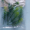 Jungle Plant #8