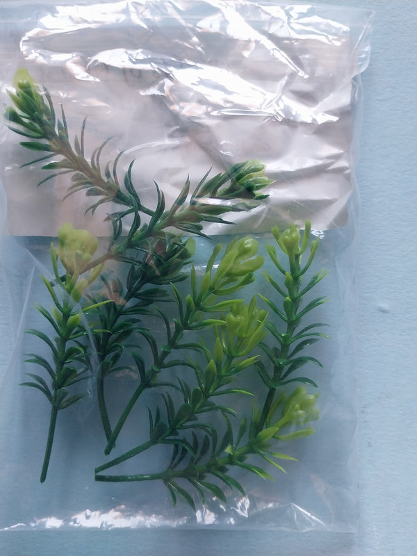 Jungle Plant #8