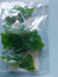 files/fog423newb.jpg
