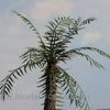 Model Scene - REALISTIC LEAVES 1:35 / 1:32 Palm leaves green - type I