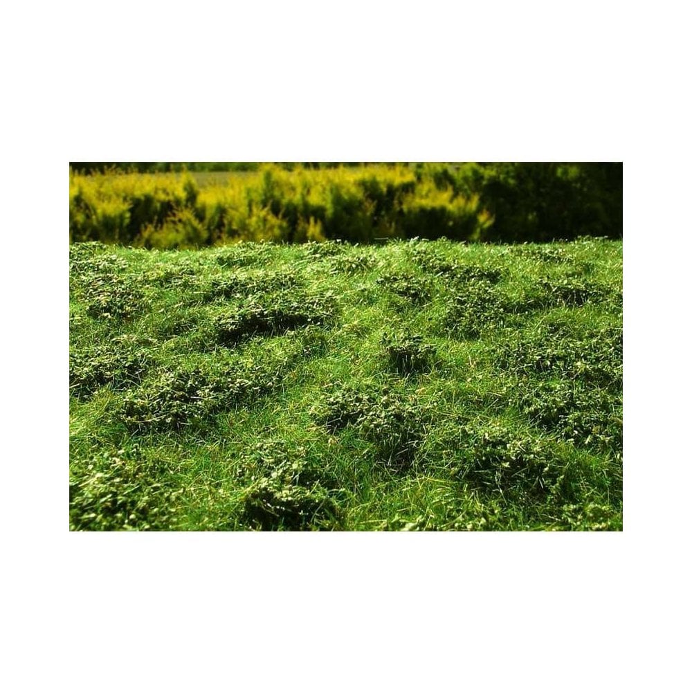 Model Scene - GRASS MATS PREMIUM (18x28cm) Low bushes - Early summer