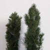 FoG Models 1/35 Fir tree model. Type #2