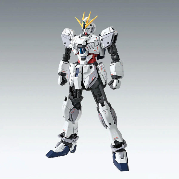 BANDAI HOBBY MG 1/100 Narrative Gundam C-Packs Version Ka