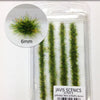 STRIPS SETS 6mm - SPRING