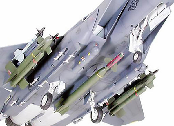 TAMIYA 1/32 scale AIRCRAFT Model kit F-15E WITH BUNKER BUSTER