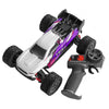 PD RACING 1:16 RTR TR16II Brushed RC Truggy (Purple, Pink & White) 1:16